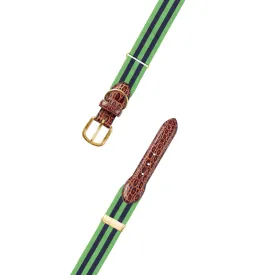 Adjustable Lime Green & Navy Grosgrain Dog Collar with Embossed Calf Tabs