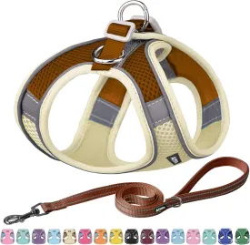 AIITLE Step in Dog Harness and Leash Set - Spring No Pull Escape Proof Vest Harnesses with Soft Mesh and Reflective Bands, Adjustable Pet Outdoor Harnesses for Small and Medium Dogs Beige M