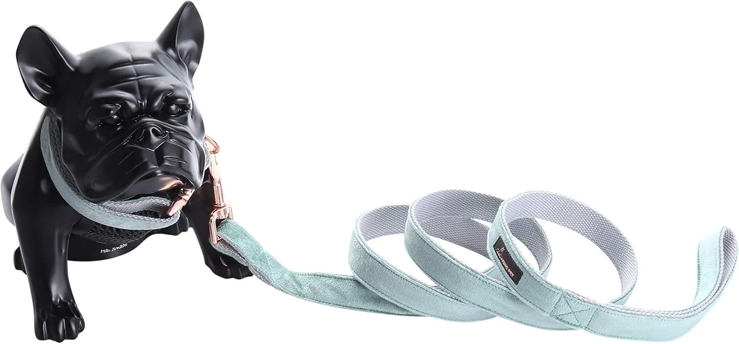ARING PET Dog Collar and Leash, Velvet Dog Collar and Leash Set, Soft & Comfy, Adjustable Collars for Dogs