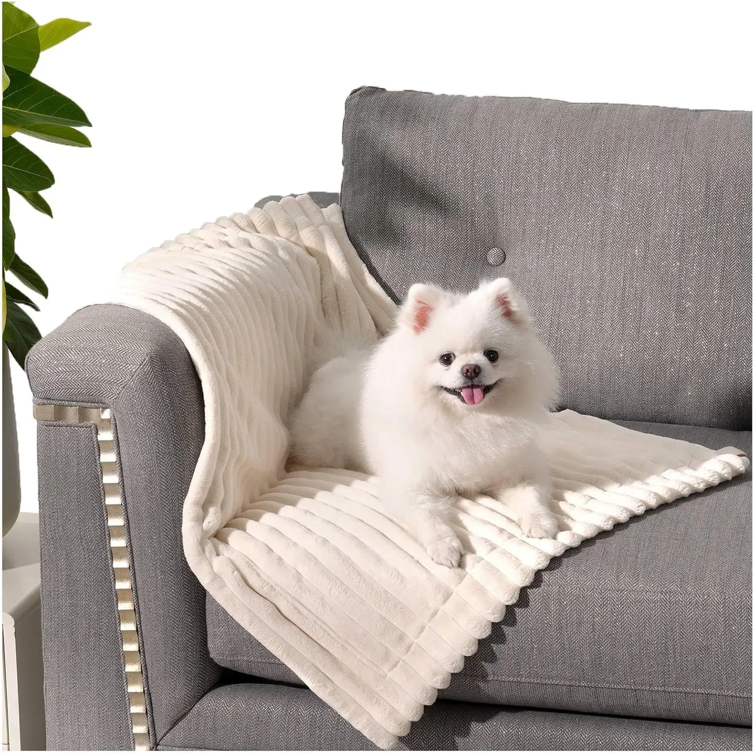 BALANCE Waterproof Blanket Winter White Dog Blanket for Small Dogs, Washable Double Sided Pet Blankets with Milk Plush and Super Soft Velvet, Pee Proof Calming Dog Blankets for Couch Protection