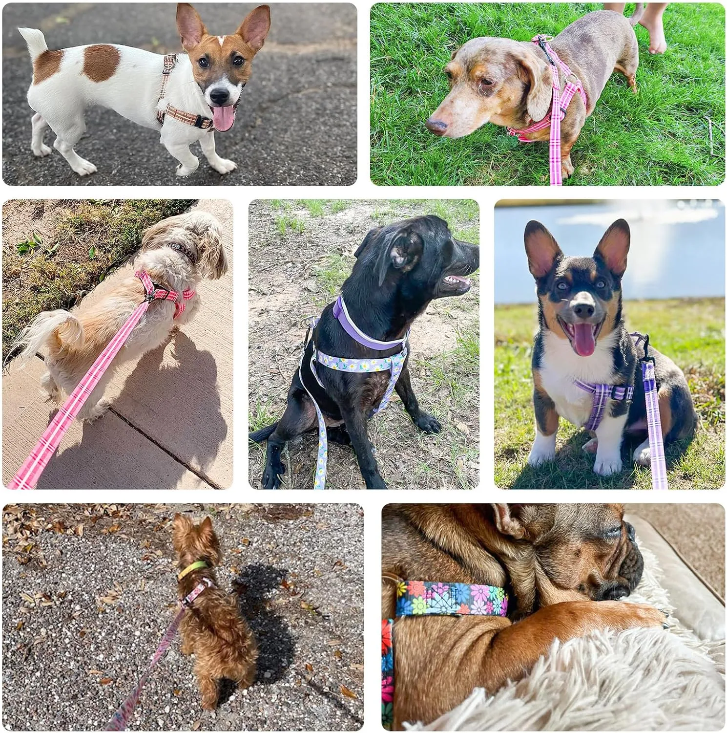 BEAUTYZOO No Pull Dog Harness and Leash Set - Adjustable Step-in Puppy Harness for Small Medium Large Dogs, Escape Proof Soft Nylon Vest with Double D Ring for Walking Running Training, Pink XS