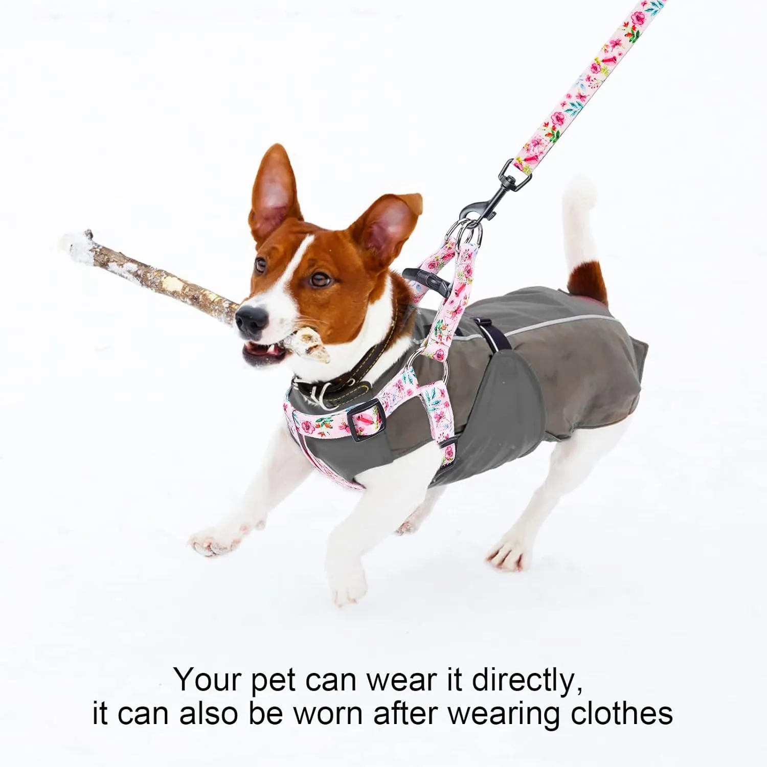 BEAUTYZOO No Pull Dog Harness and Leash Set - Adjustable Step-in Puppy Harness for Small Medium Large Dogs, Escape Proof Soft Nylon Vest with Double D Ring for Walking Running Training, Pink XS