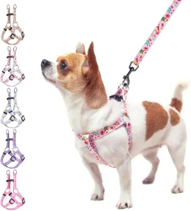 BEAUTYZOO No Pull Dog Harness and Leash Set - Adjustable Step-in Puppy Harness for Small Medium Large Dogs, Escape Proof Soft Nylon Vest with Double D Ring for Walking Running Training, Pink XS