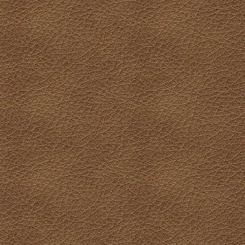 Bolsena Caramel Leather Queen Sofa Sleeper