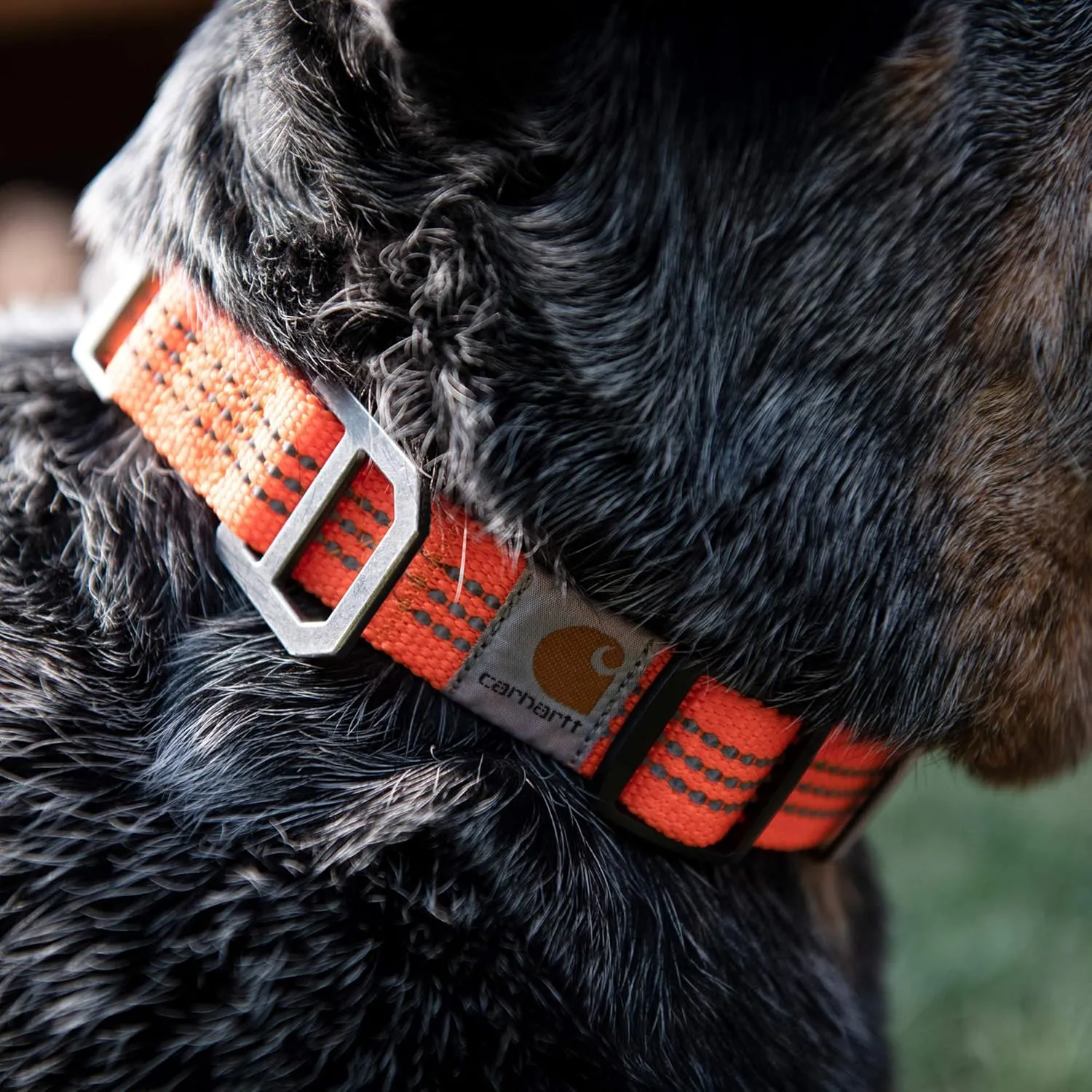 Carhartt Gear P0000343 Tradesman Collar - Medium - Hunter Orange