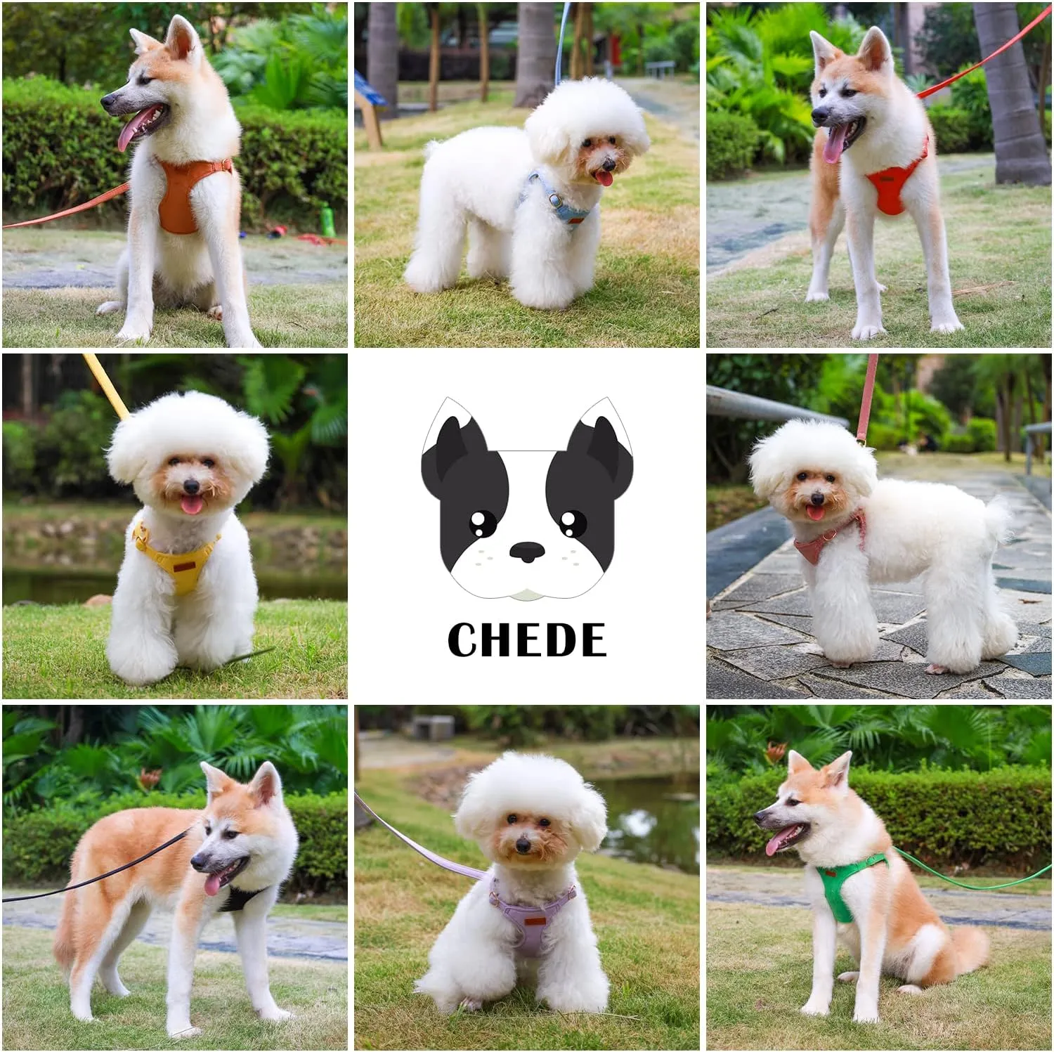 CHEDE No Pull Puppy Harness and Multifunction Dog Leash Set- 8 Colors Soft Adjustable No Choke Escape Proof Cute,Lightweight Pet Vest Harness for Small and Medium Dog (M, Antique Pink)