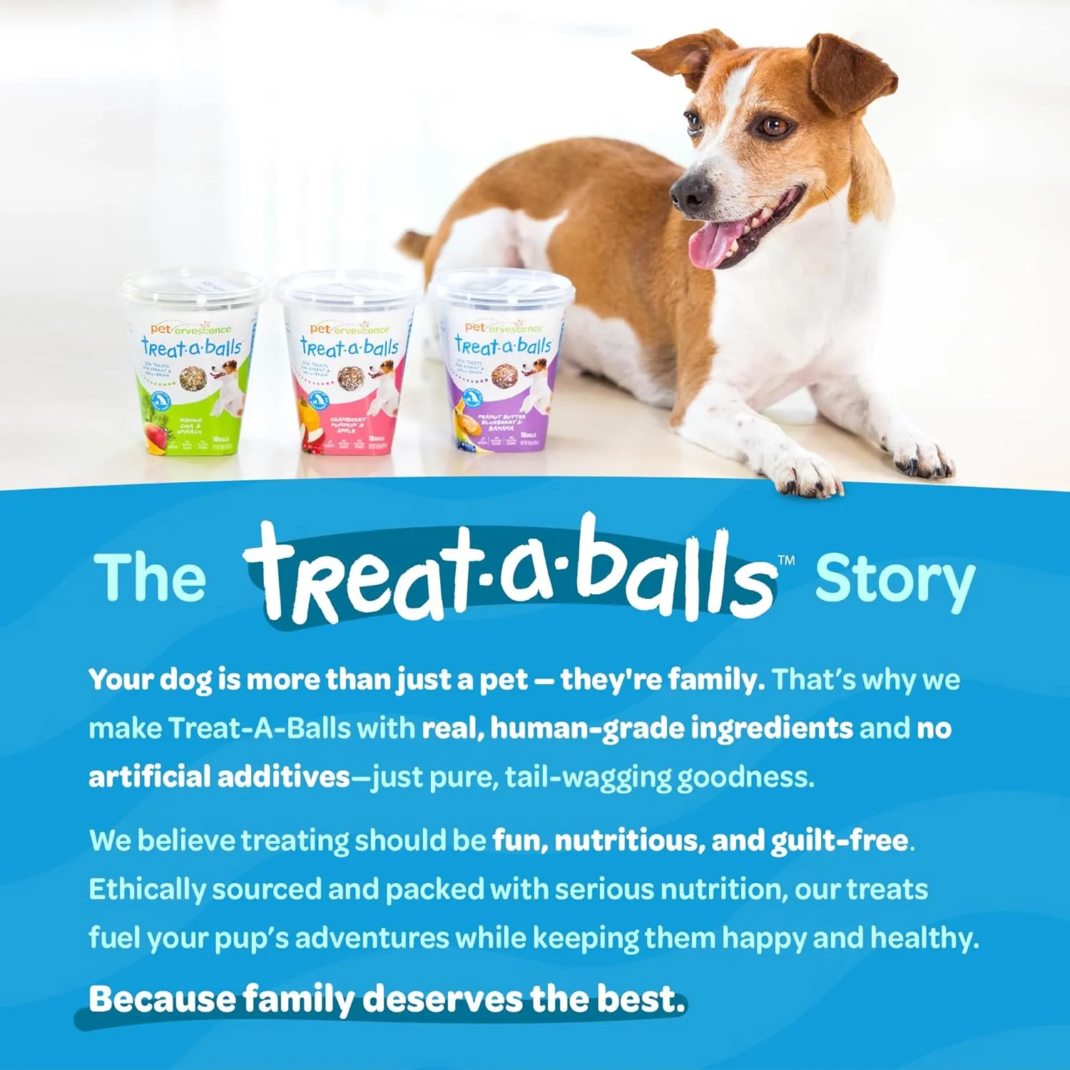 Chewy & Soft Dog Treats Bulk - All Natural, Non-GMO, Gluten Free - All Breeds, Sizes, Ages - Made in New Zealand - Peanut Butter, Blueberry, Banana - 6pk (108 Bulk Dog Treats)