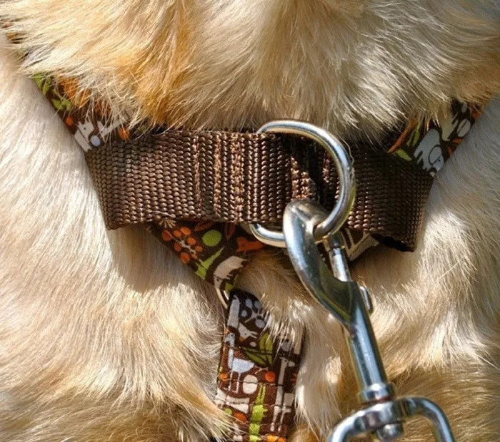 CHOOSE YOUR DESIGN - Dual Walker No-Pull Harness