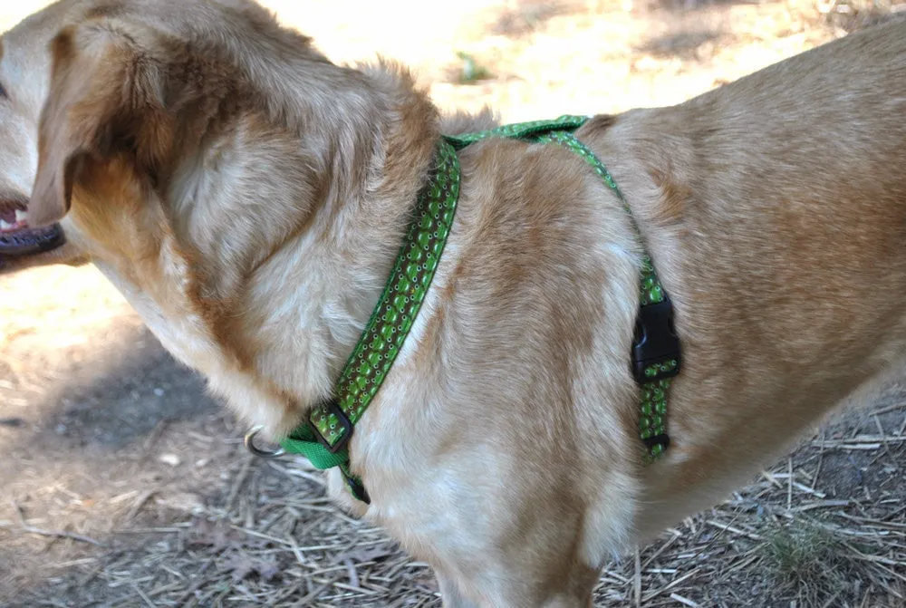 CHOOSE YOUR DESIGN - Dual Walker No-Pull Harness