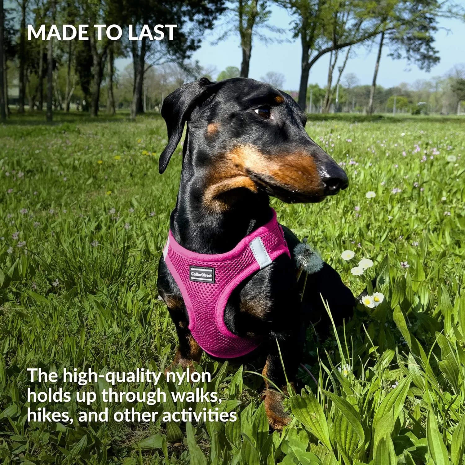 CollarDirect Step-in Reflective Dog Harness - Any Weather Air Mesh for Small and Medium Dogs Easy to Put On and Off (Size S, Pink)