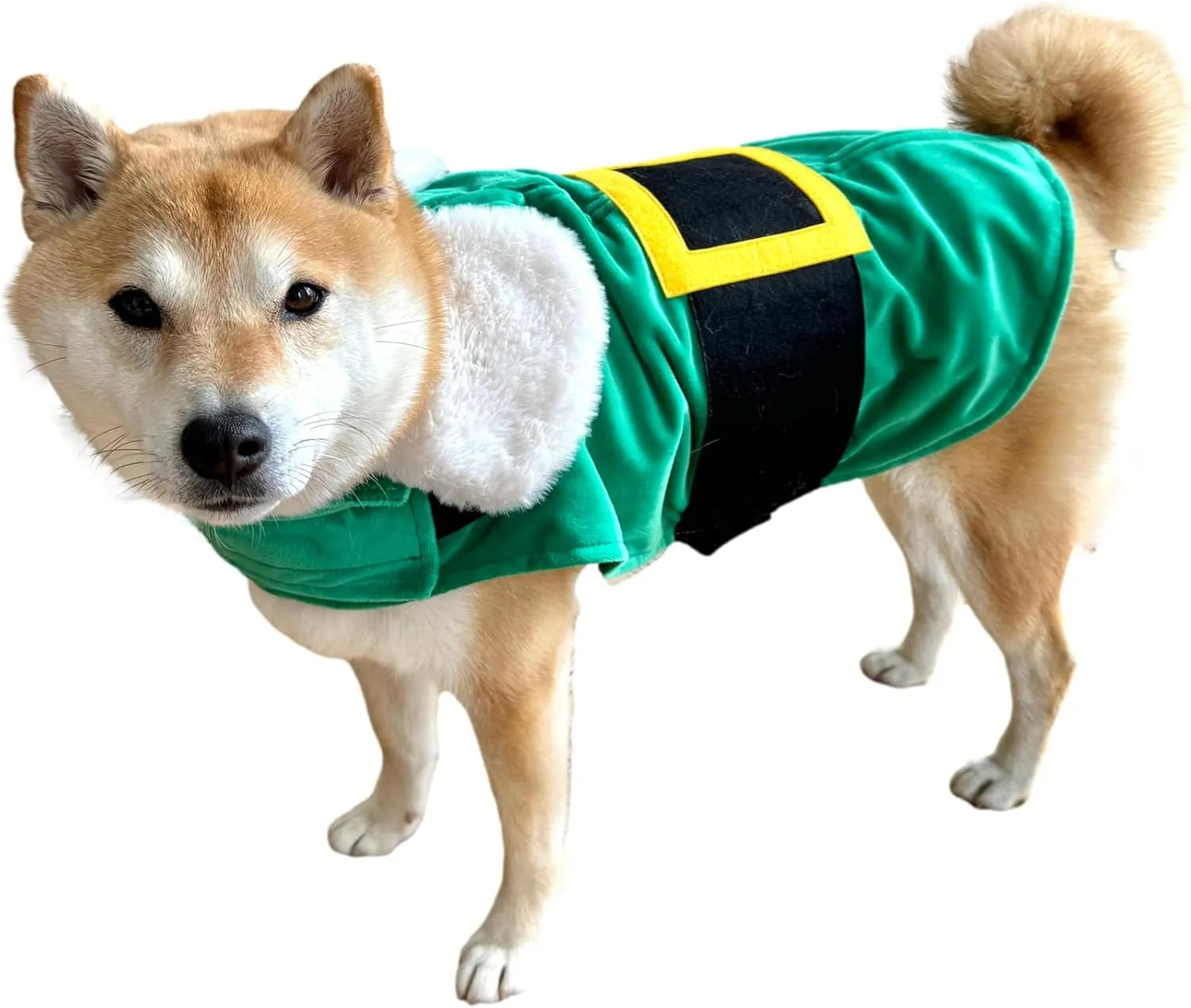 ComfyCamper Green Elf Cape and Hat Costume for Dogs - XS Small Medium Large XXL Cosplay Christmas Costumes Xmas, L