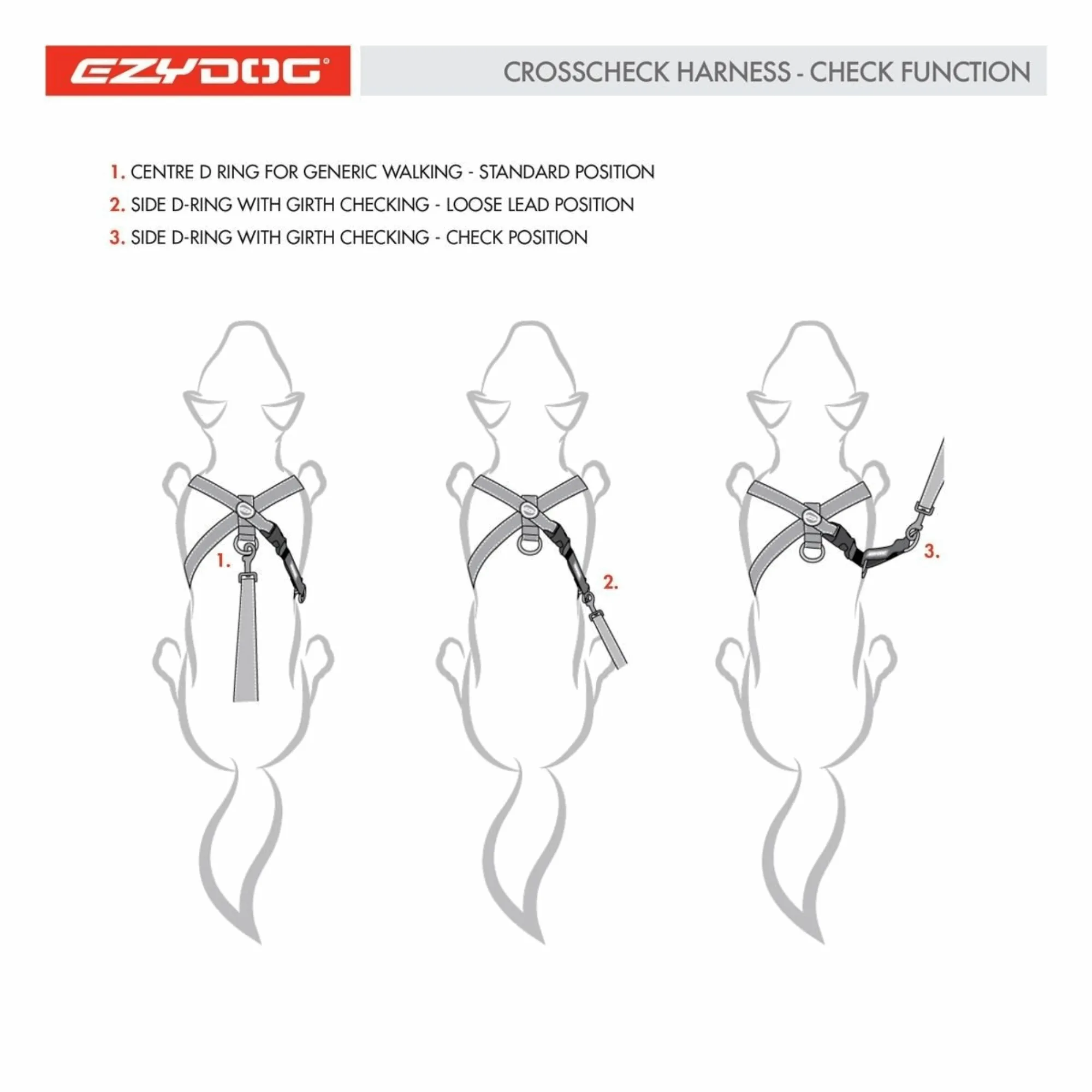 Cross Check Training Harness