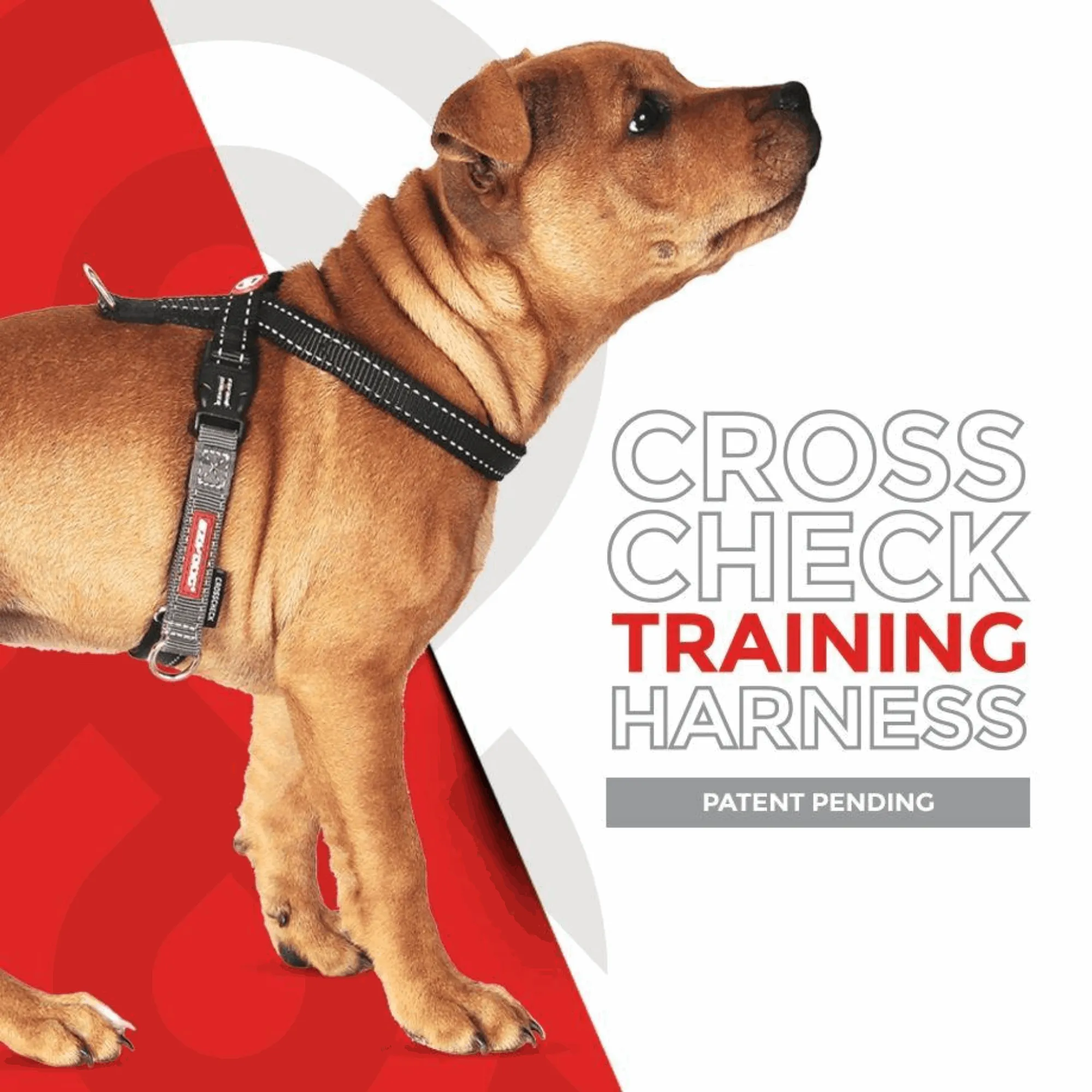 Cross Check Training Harness