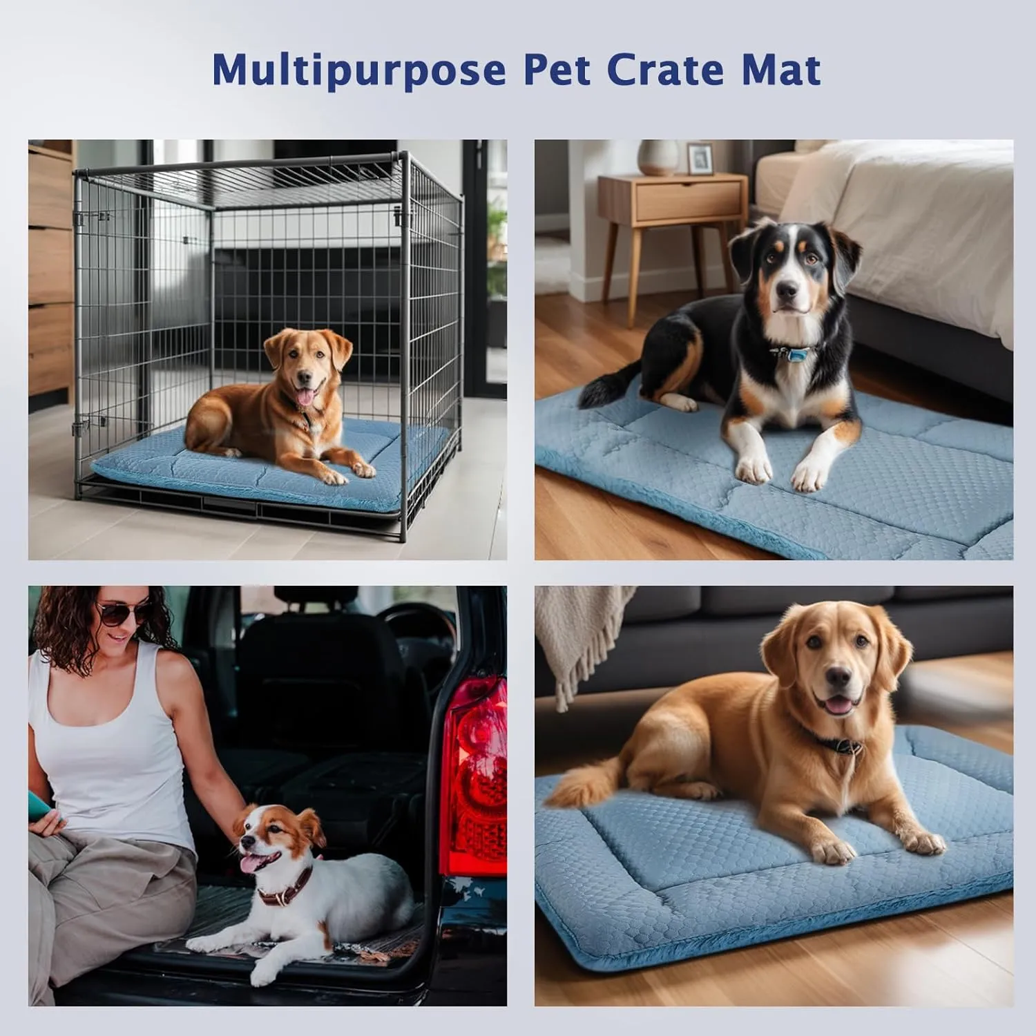 Dog Bed Mat, Crate Pad Reversible,Soft Kennel Pad, Washable Dog Crate Mat (Cool and Warm),Pet Sleeping Mattress for Small Medium Dogs XB009 (18''x13'',Blue)