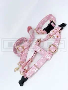 Ellie Candy Harness Leash and Collar Set