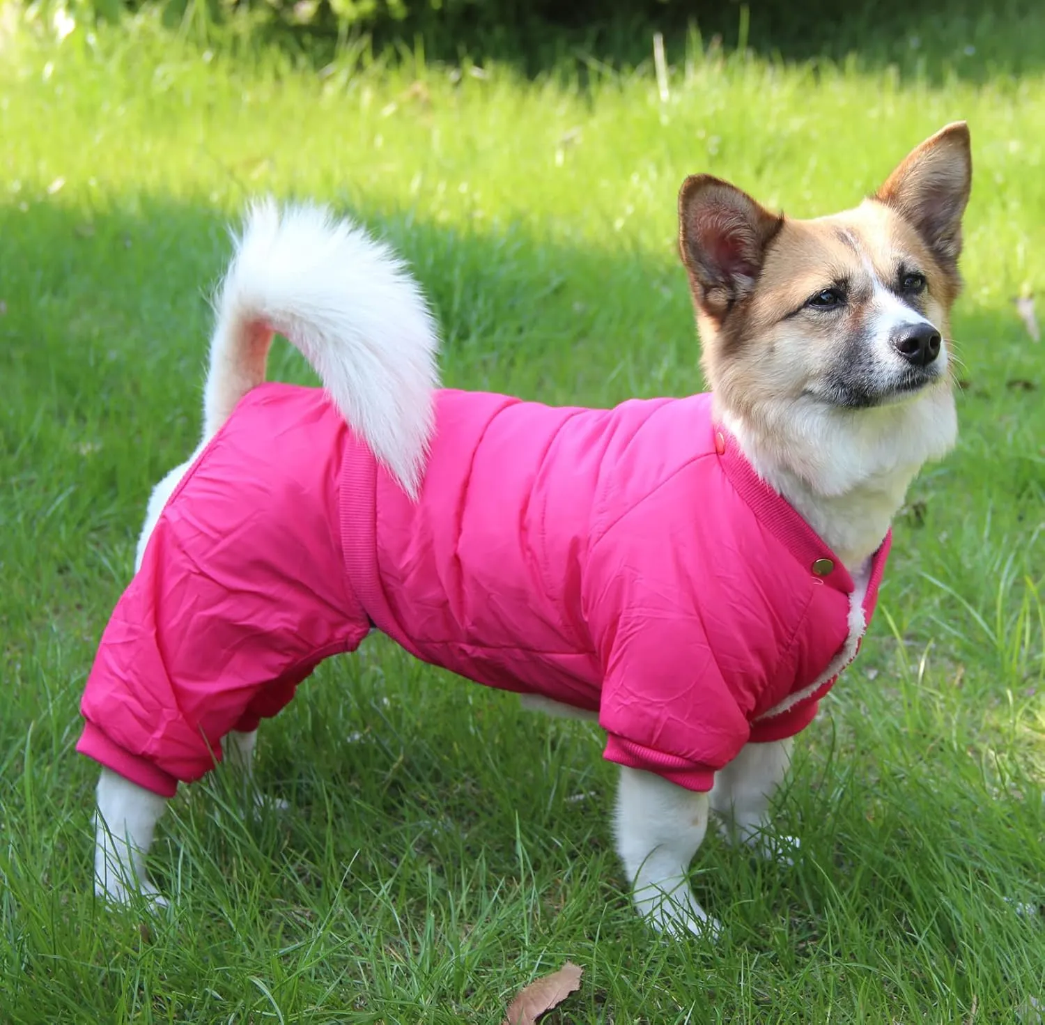 Fleece Lined Dog Coat with Detachable Hood and Detachable Hind Legs,Warm Puppy Jacket in Winter(Pink M)