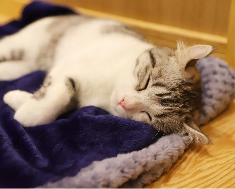 furrybaby Premium Fluffy Fleece Dog Blanket Soft and Warm Reversible Flannel Pet Blanket for Dogs 24x32inch Washable Indoor Cats Blankets for Cozy Comfy Nap(Blue)