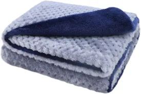 furrybaby Premium Fluffy Fleece Dog Blanket Soft and Warm Reversible Flannel Pet Blanket for Dogs 24x32inch Washable Indoor Cats Blankets for Cozy Comfy Nap(Blue)