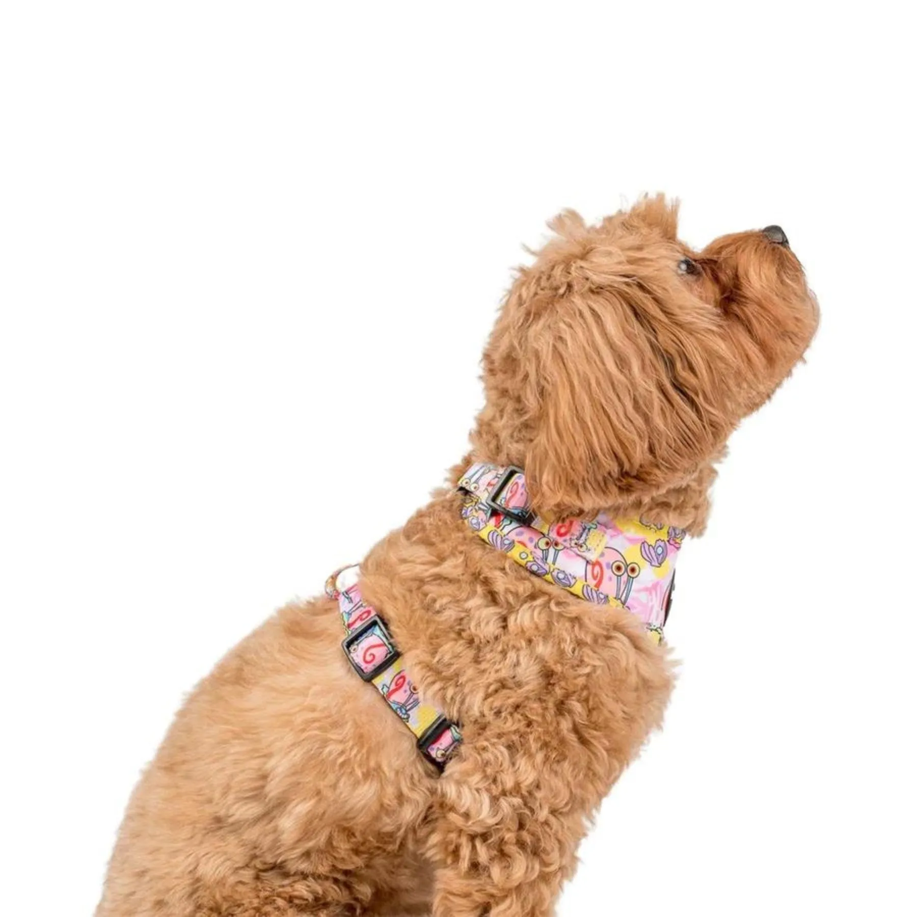 Gary Adjustable Harness