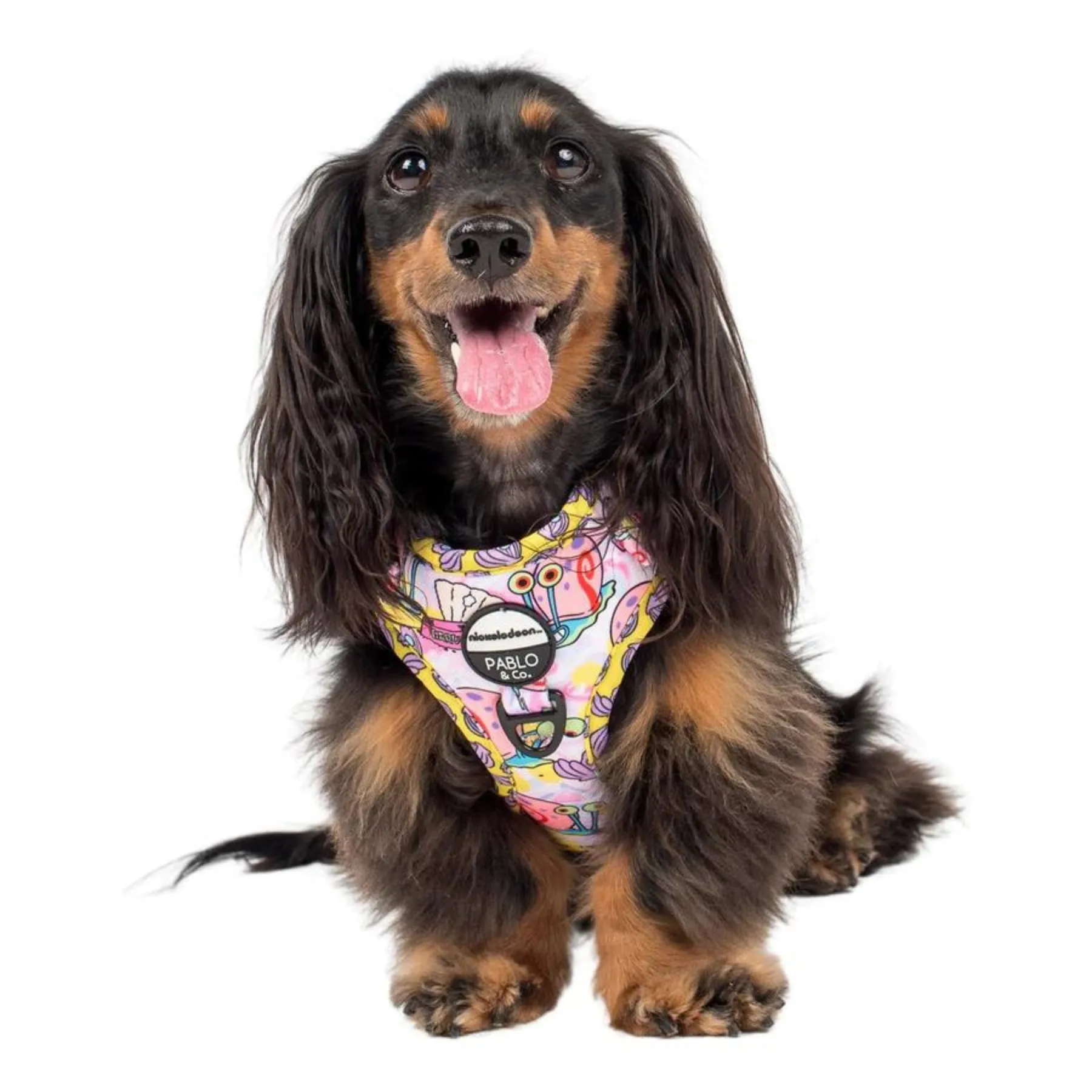 Gary Adjustable Harness