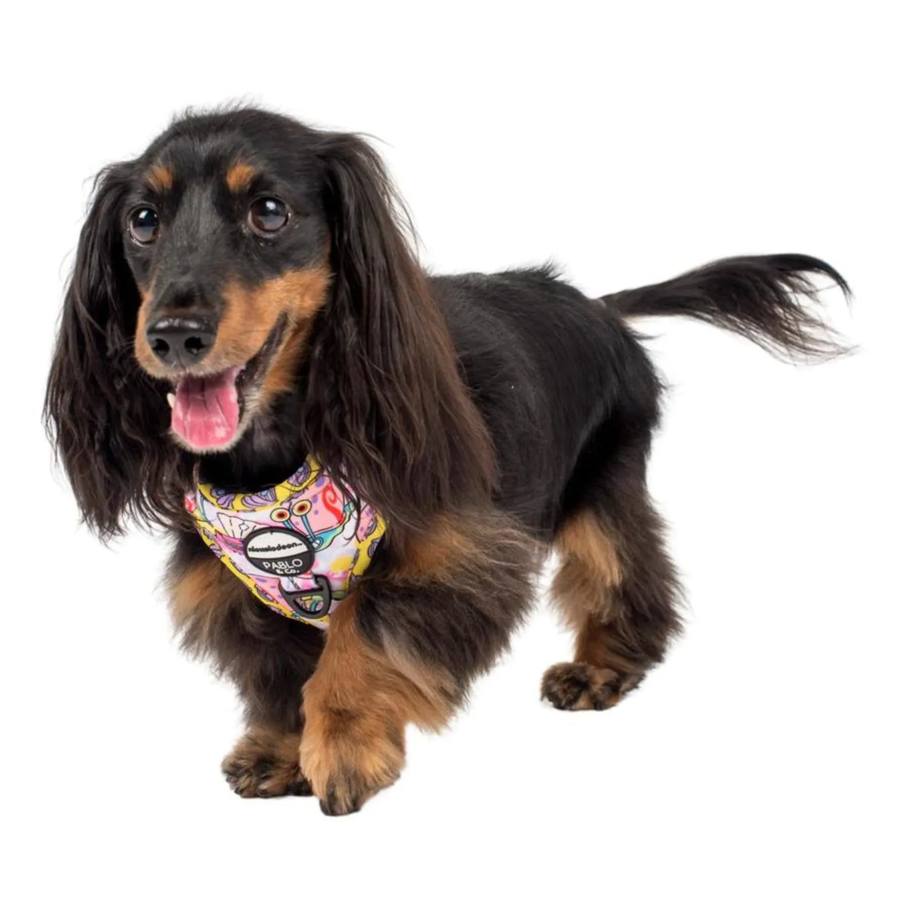 Gary Adjustable Harness