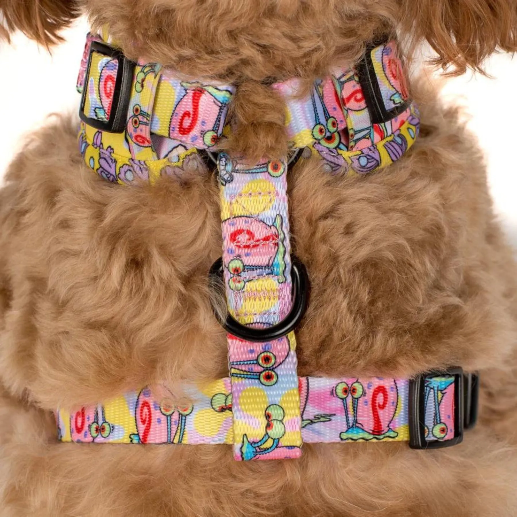 Gary Adjustable Harness
