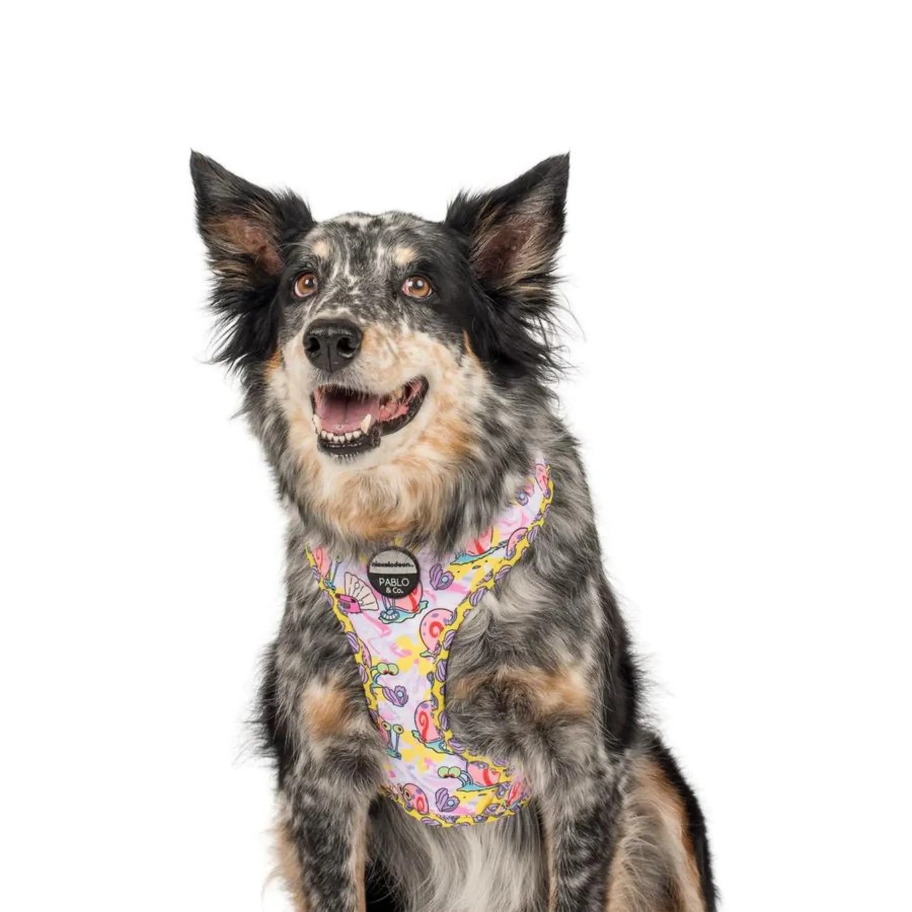 Gary Adjustable Harness