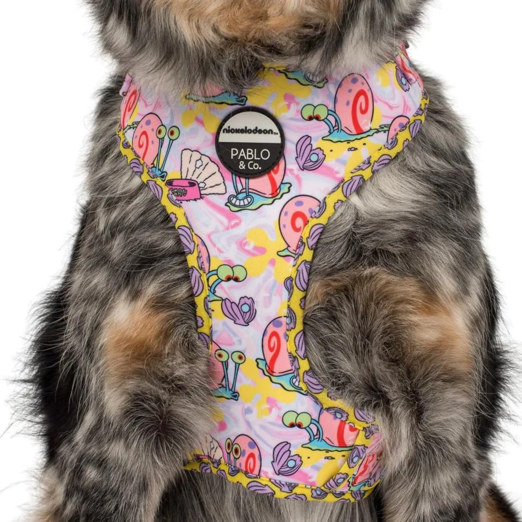 Gary Adjustable Harness