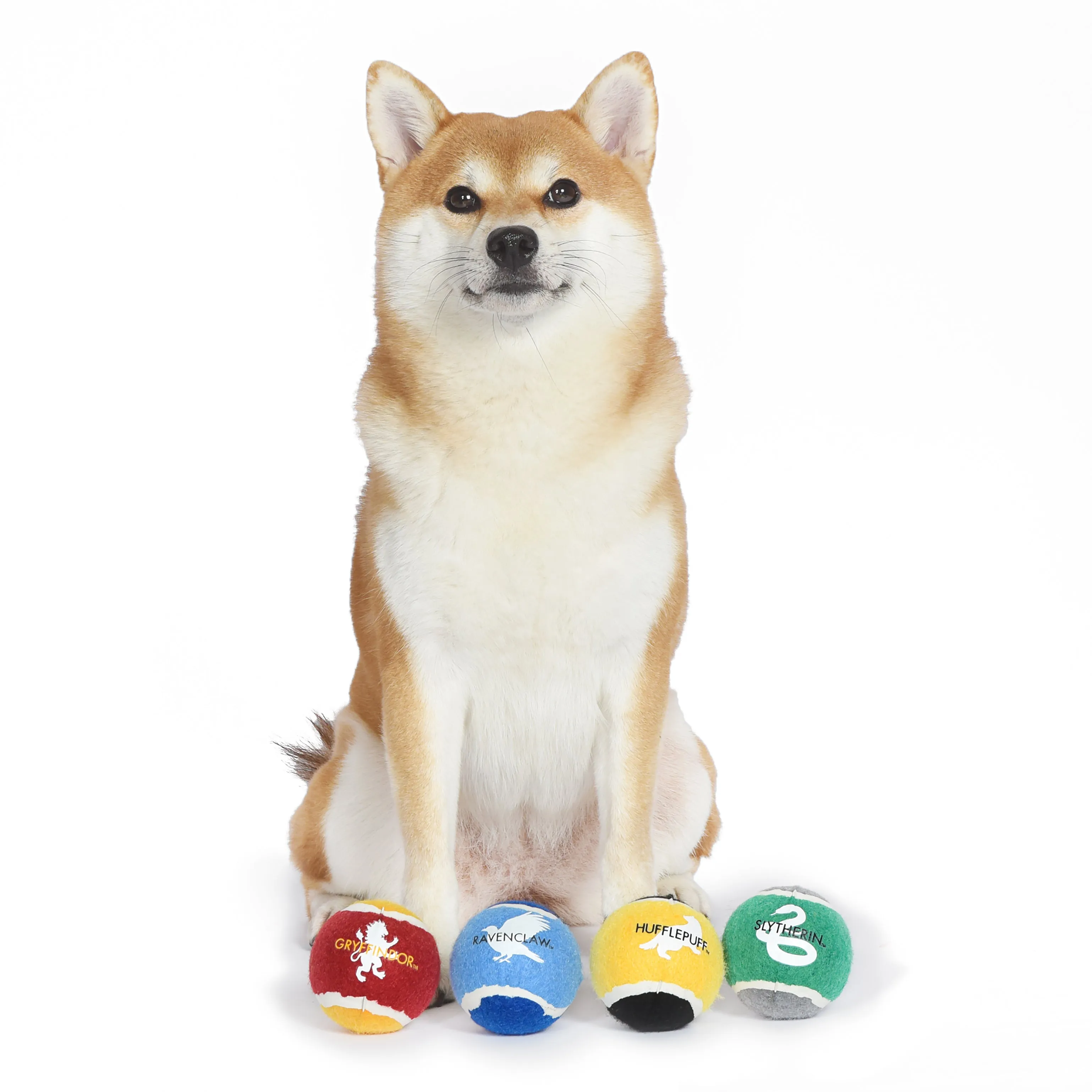 Harry Potter: 4PK Hogwarts Pride Pet Tennis Balls