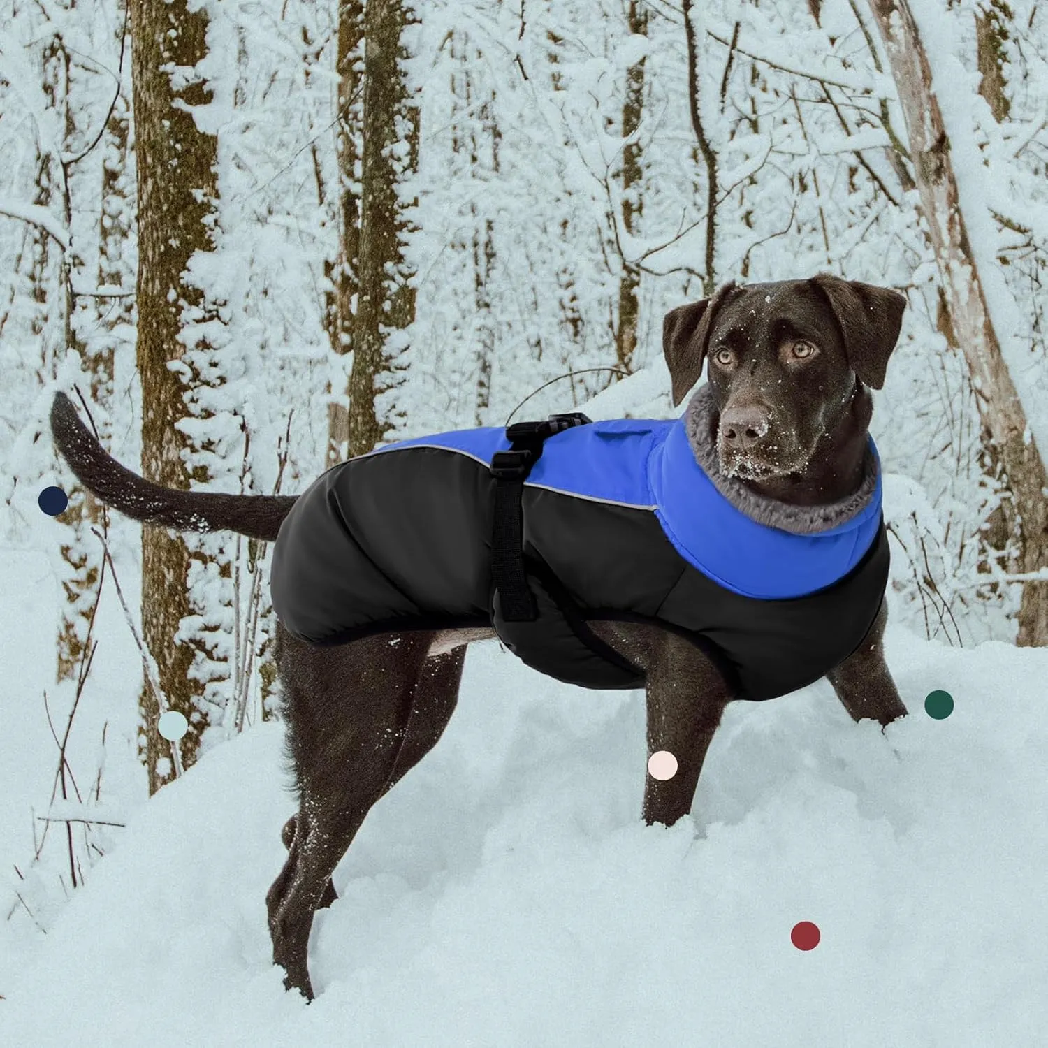 IECOii Extra Warm Dog Coat - Reflective Adjustable Jacket With Buckle Fleece Turtleneck for Cold Weather - Soft Winter Coat for Small Medium Extra Large Dogs