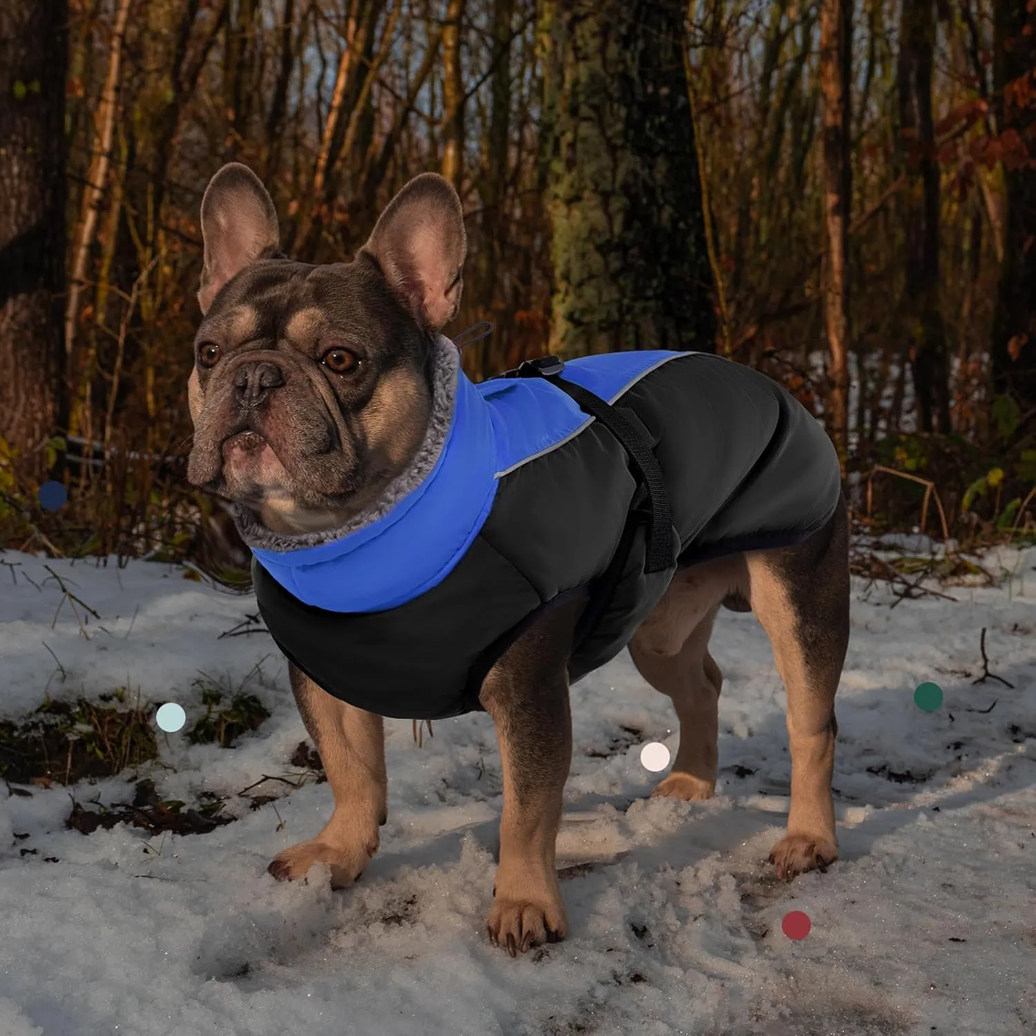 IECOii Extra Warm Dog Coat - Reflective Adjustable Jacket With Buckle Fleece Turtleneck for Cold Weather - Soft Winter Coat for Small Medium Extra Large Dogs
