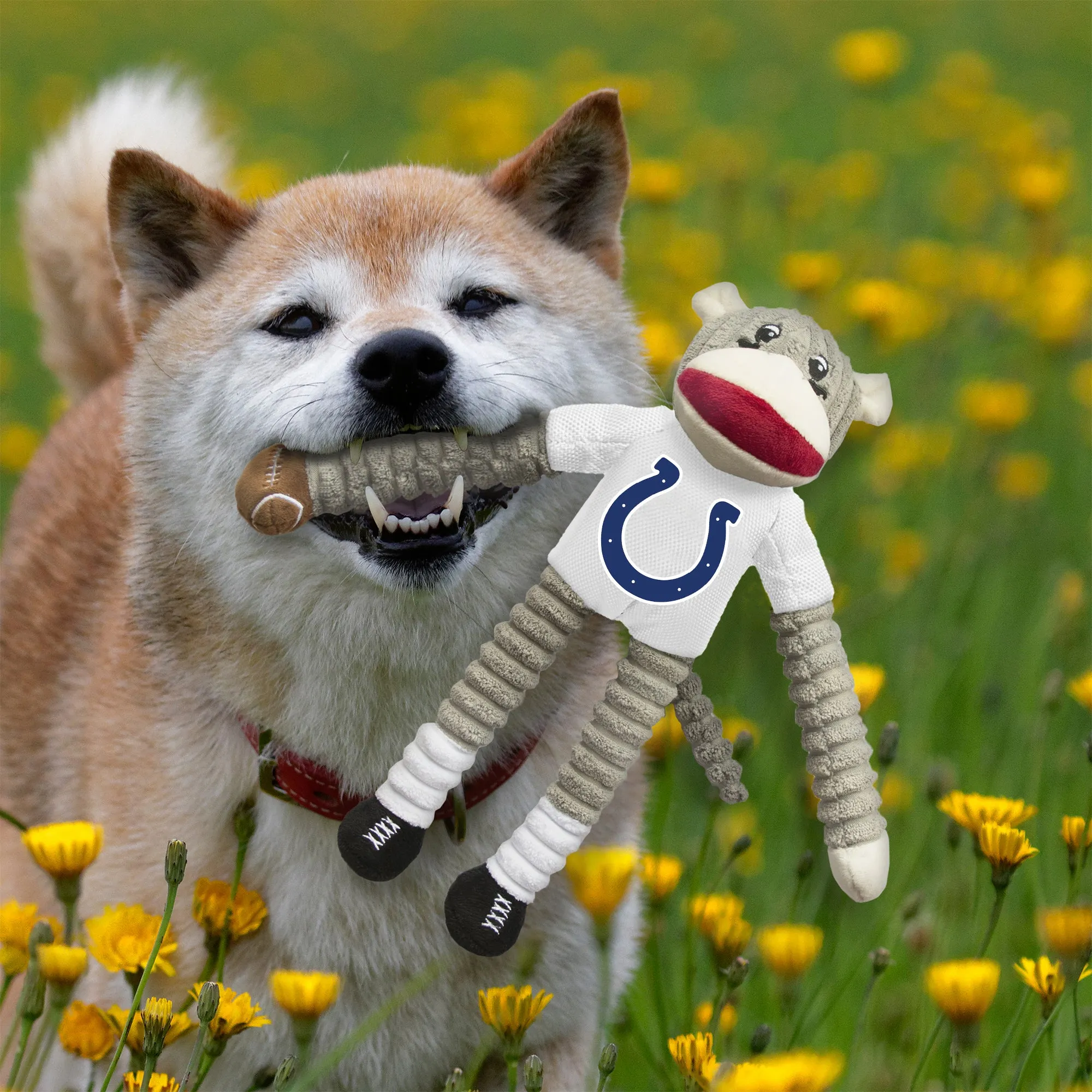 Indianapolis Colts Team Sock Monkey Pet Toy