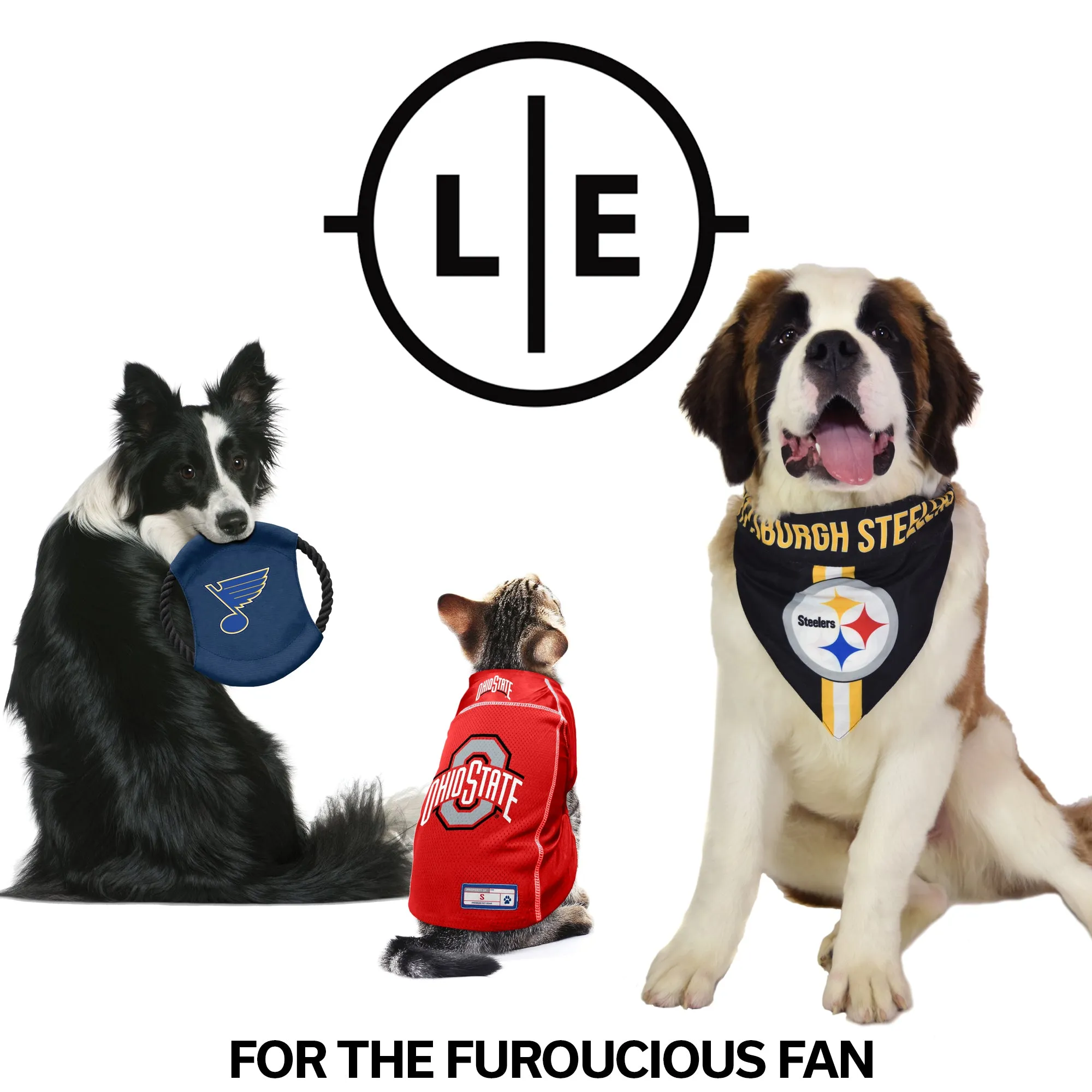 Indianapolis Colts Team Sock Monkey Pet Toy
