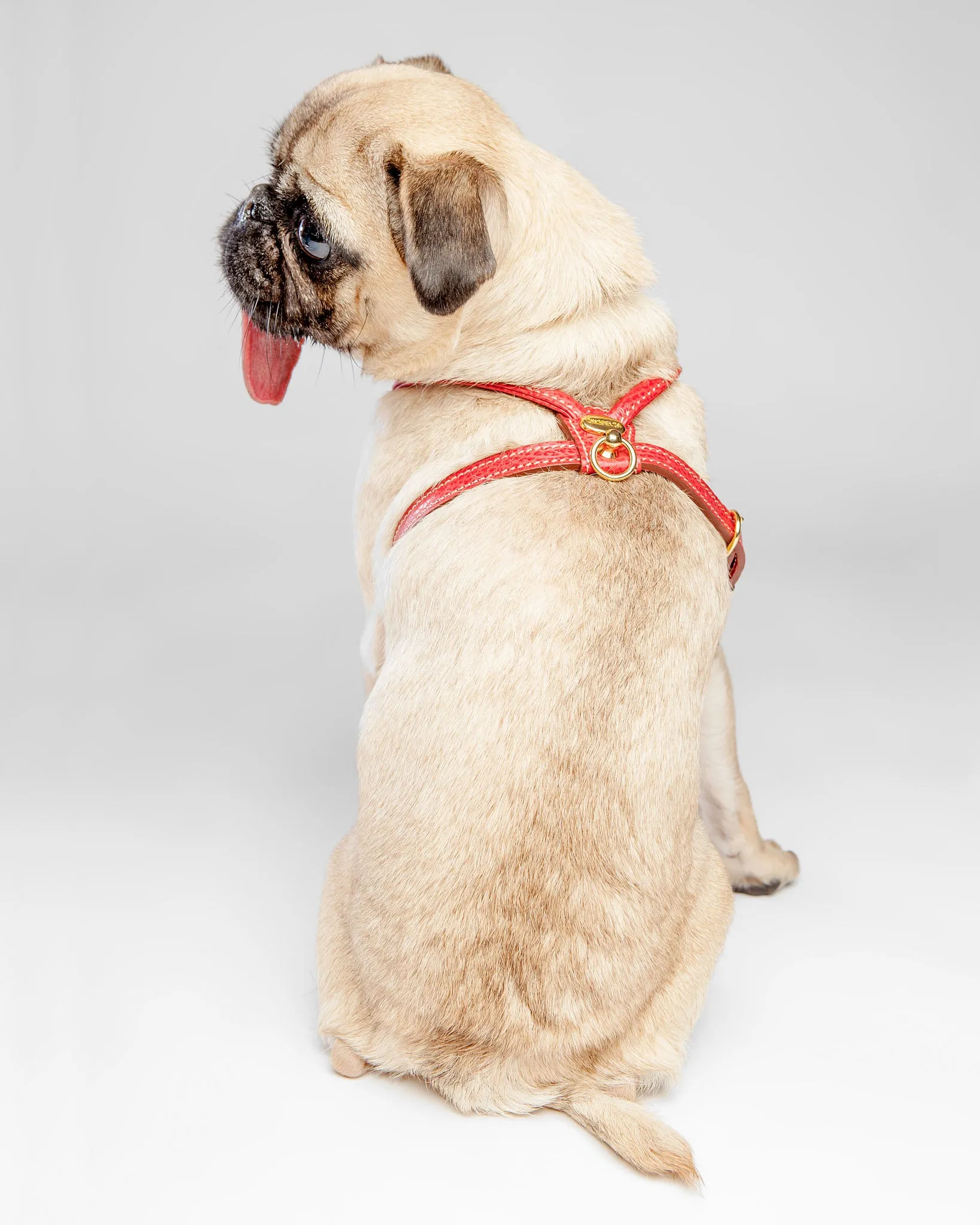 Italian Leather Harness in Red (FINAL SALE)