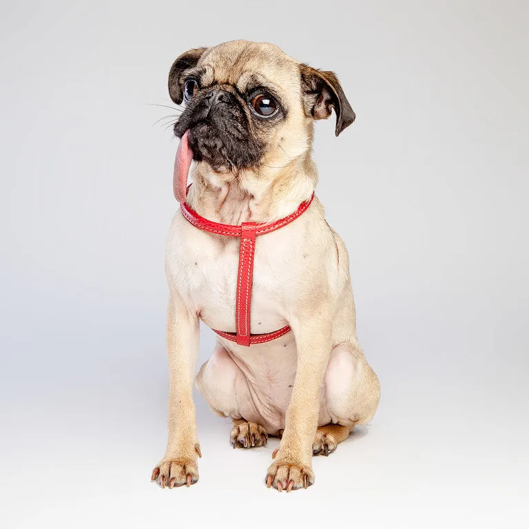 Italian Leather Harness in Red (FINAL SALE)