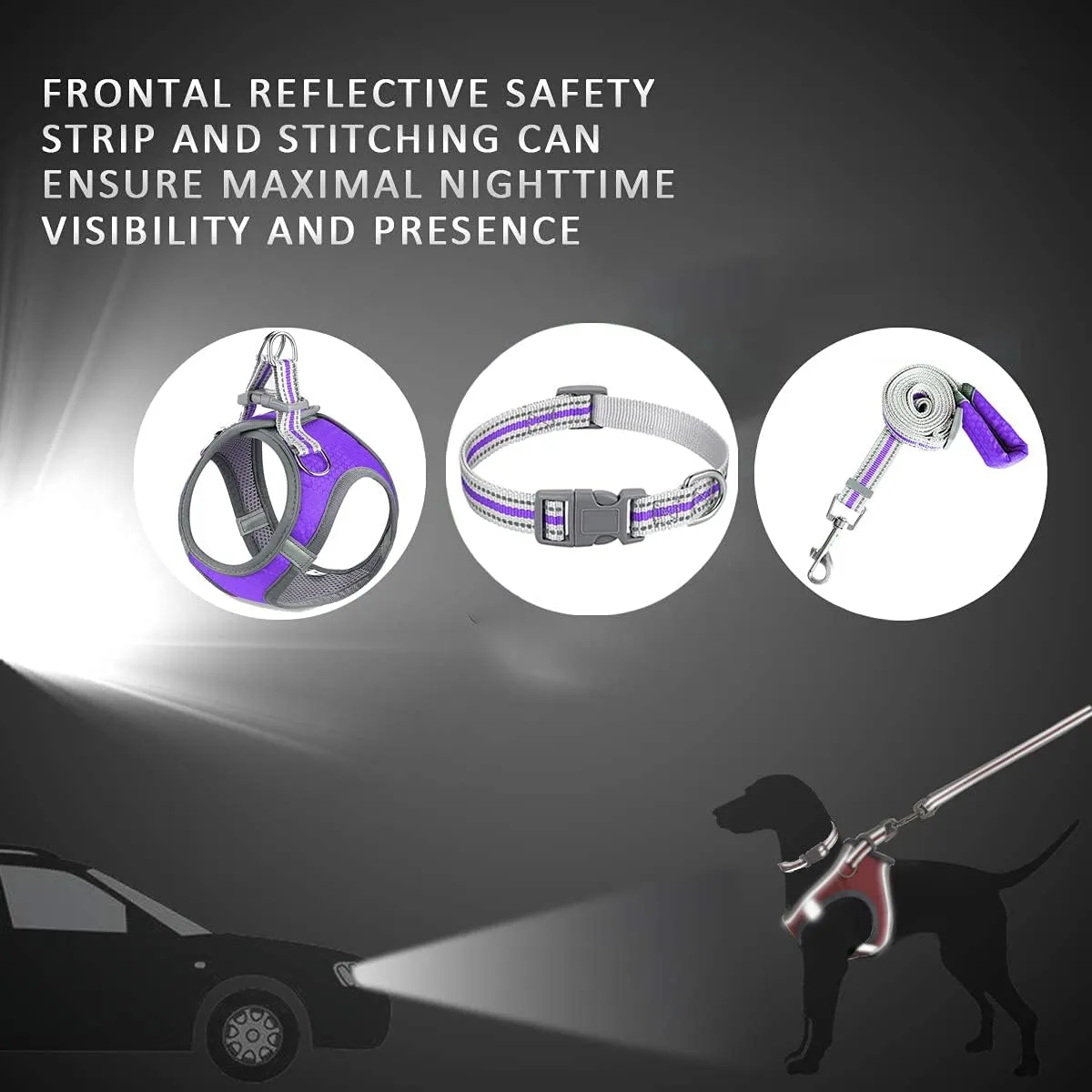 JSXD Puppy Harness, Adjustable Leash and Collar Set, Step-in Dog Harness, 3M Reflective Pet Dog Vest for Small Medium Puppy (L:Neck 13.4-16.5"|Chest 18.9-21.3", Purple)