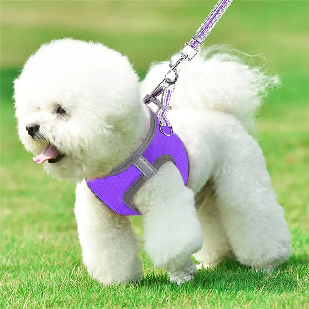 JSXD Puppy Harness, Adjustable Leash and Collar Set, Step-in Dog Harness, 3M Reflective Pet Dog Vest for Small Medium Puppy (L:Neck 13.4-16.5"|Chest 18.9-21.3", Purple)