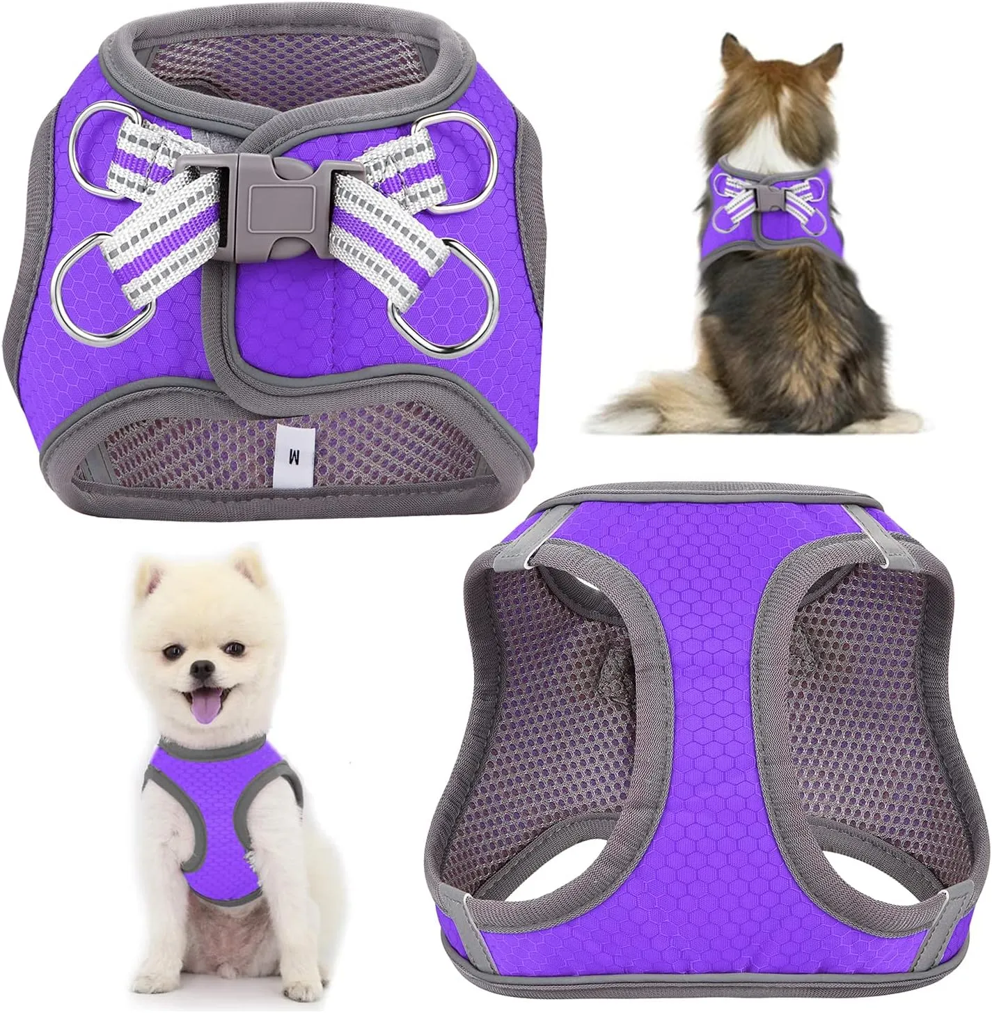 JSXD Puppy Harness, Adjustable Leash and Collar Set, Step-in Dog Harness, 3M Reflective Pet Dog Vest for Small Medium Puppy (L:Neck 13.4-16.5"|Chest 18.9-21.3", Purple)