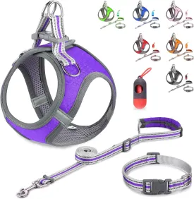 JSXD Puppy Harness, Adjustable Leash and Collar Set, Step-in Dog Harness, 3M Reflective Pet Dog Vest for Small Medium Puppy (L:Neck 13.4-16.5"|Chest 18.9-21.3", Purple)