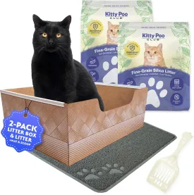 Leakproof Disposable 2-Pack Cat Litter Box with Accessories | Superior Odor Control & Recyclable Design | 2 Litter Box, 2-Pack of 6lbs Litter, Mat & Scoop |Multi-Cat Homes & Daily Use  Kitty Poo Club