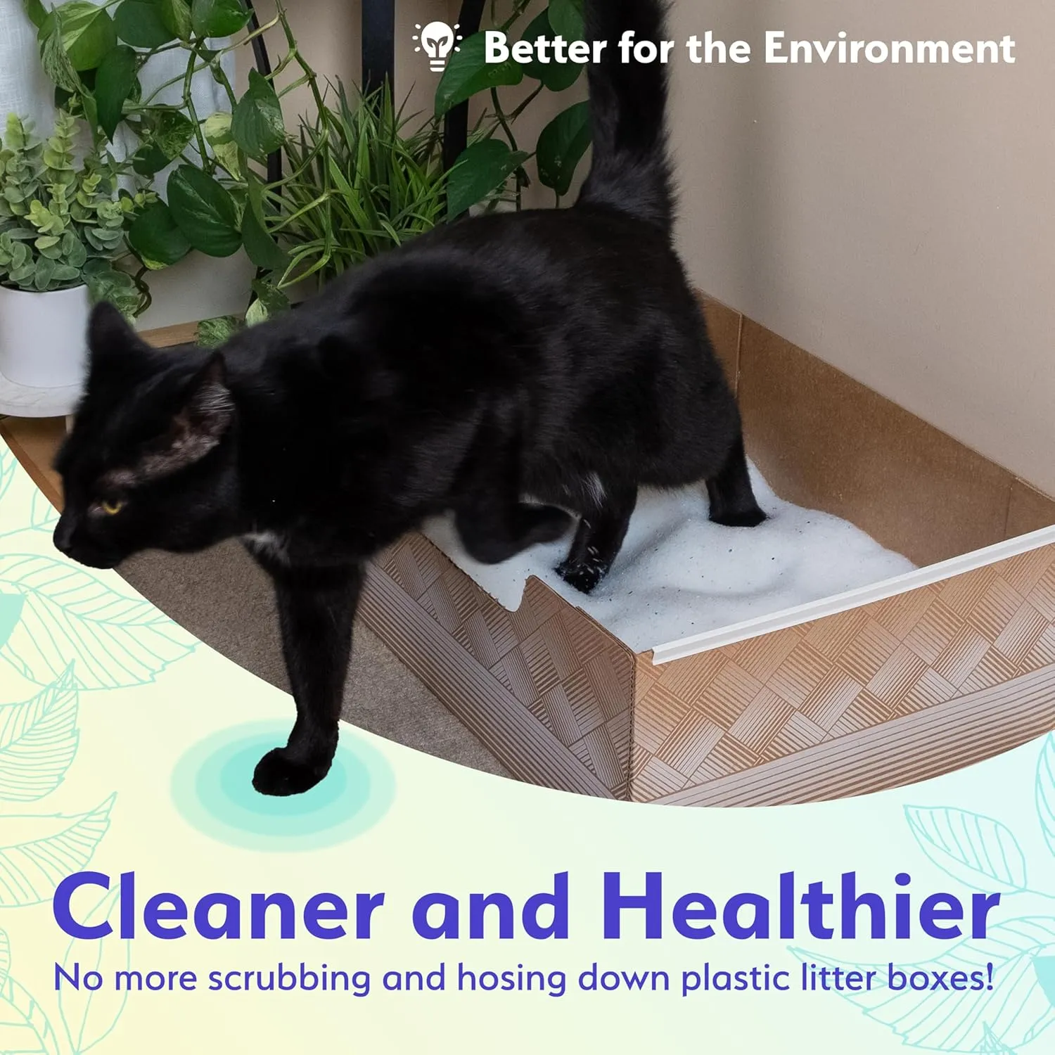 Leakproof Disposable 2-Pack Cat Litter Box with Accessories | Superior Odor Control & Recyclable Design | 2 Litter Box, 2-Pack of 6lbs Litter, Mat & Scoop |Multi-Cat Homes & Daily Use  Kitty Poo Club