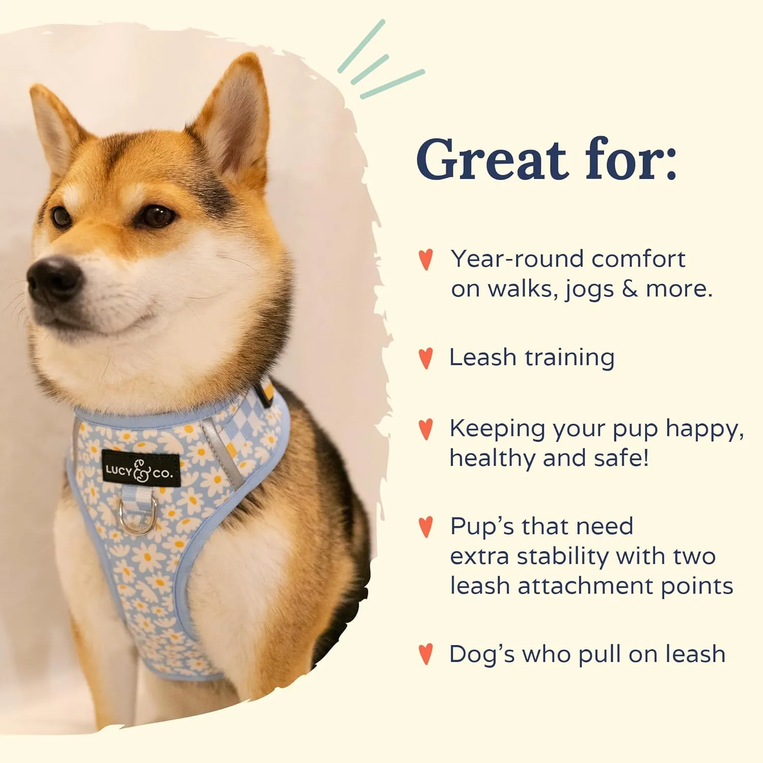 Lucy & Co. The Simply Splendid No-Pull Dog Harness  Size Medium  Vest to Stop Pulling & Walk Easy  Comfortable Leash Training Product w/Adjustable Chest & Neck Straps