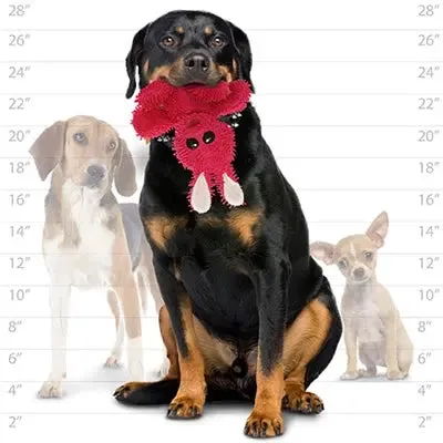Mighty® Medium Micro Ball Rabbit Dog Toys 3.5 X 9 X 12 Inch