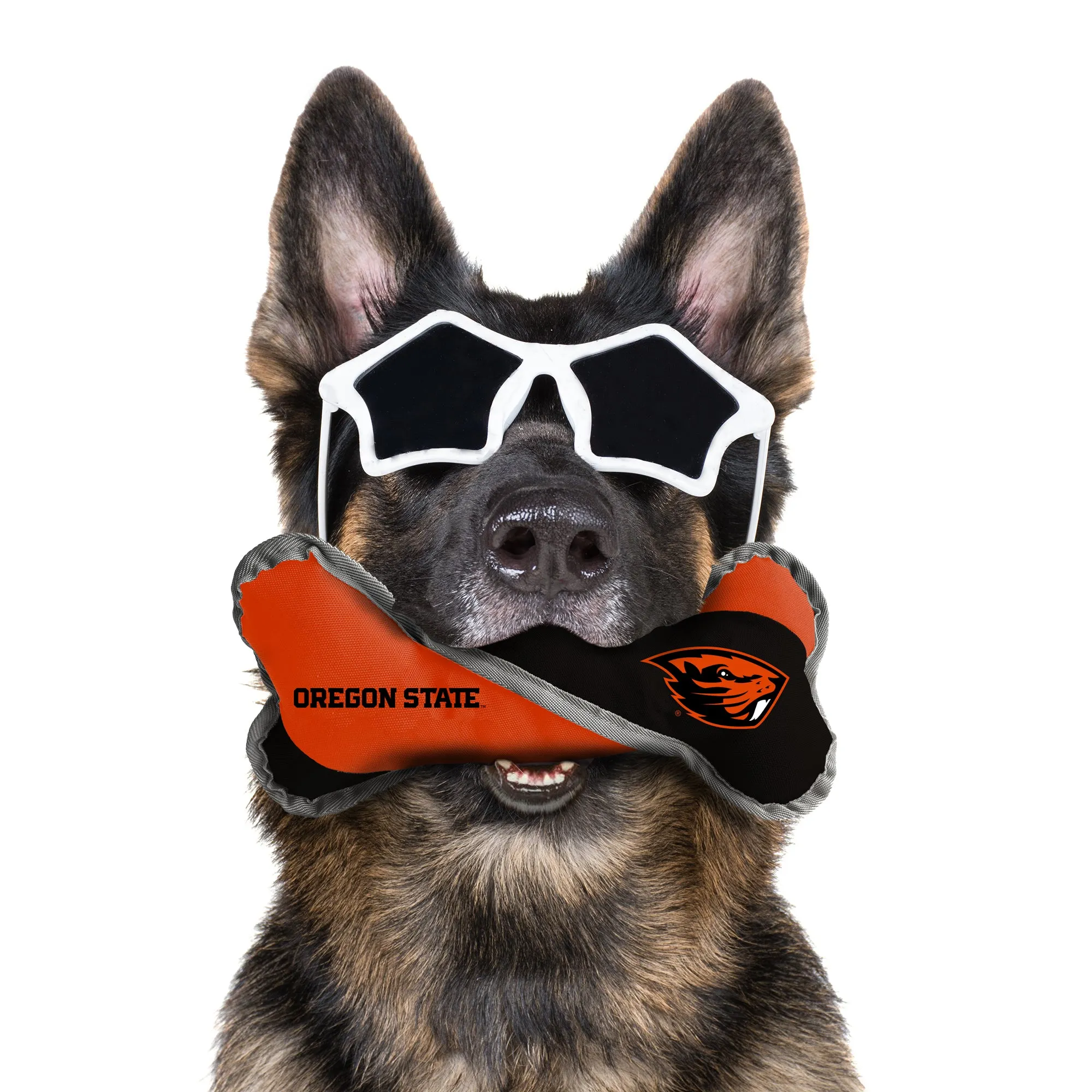 Oregon State University Pet Tug Bone