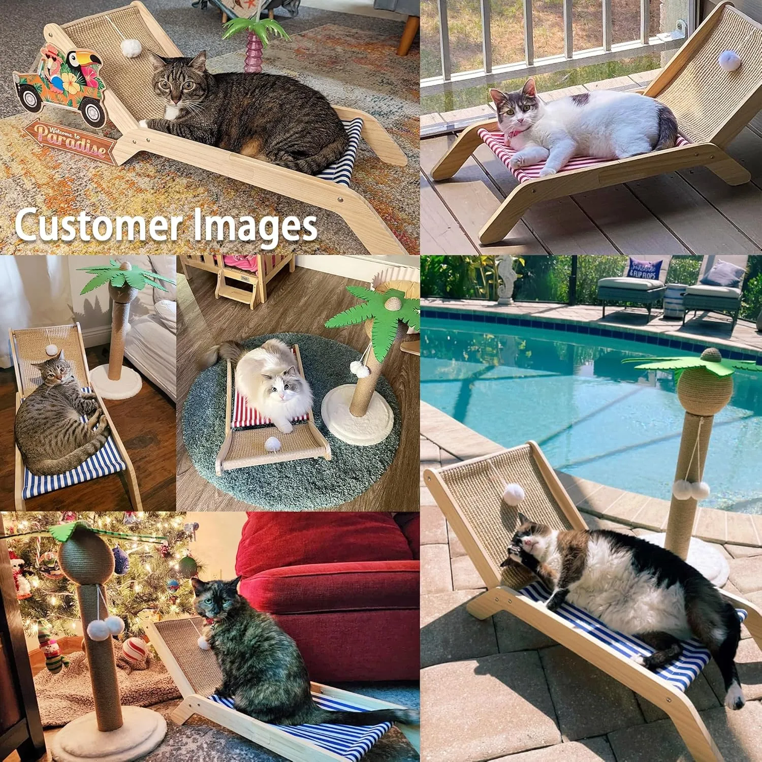 PETKARAY Cat Hammock with Coconut Palm Tree Scratching Post, Cozy Beach Chair Elevated Cat Beds, Original Lounger for Indoor Cats