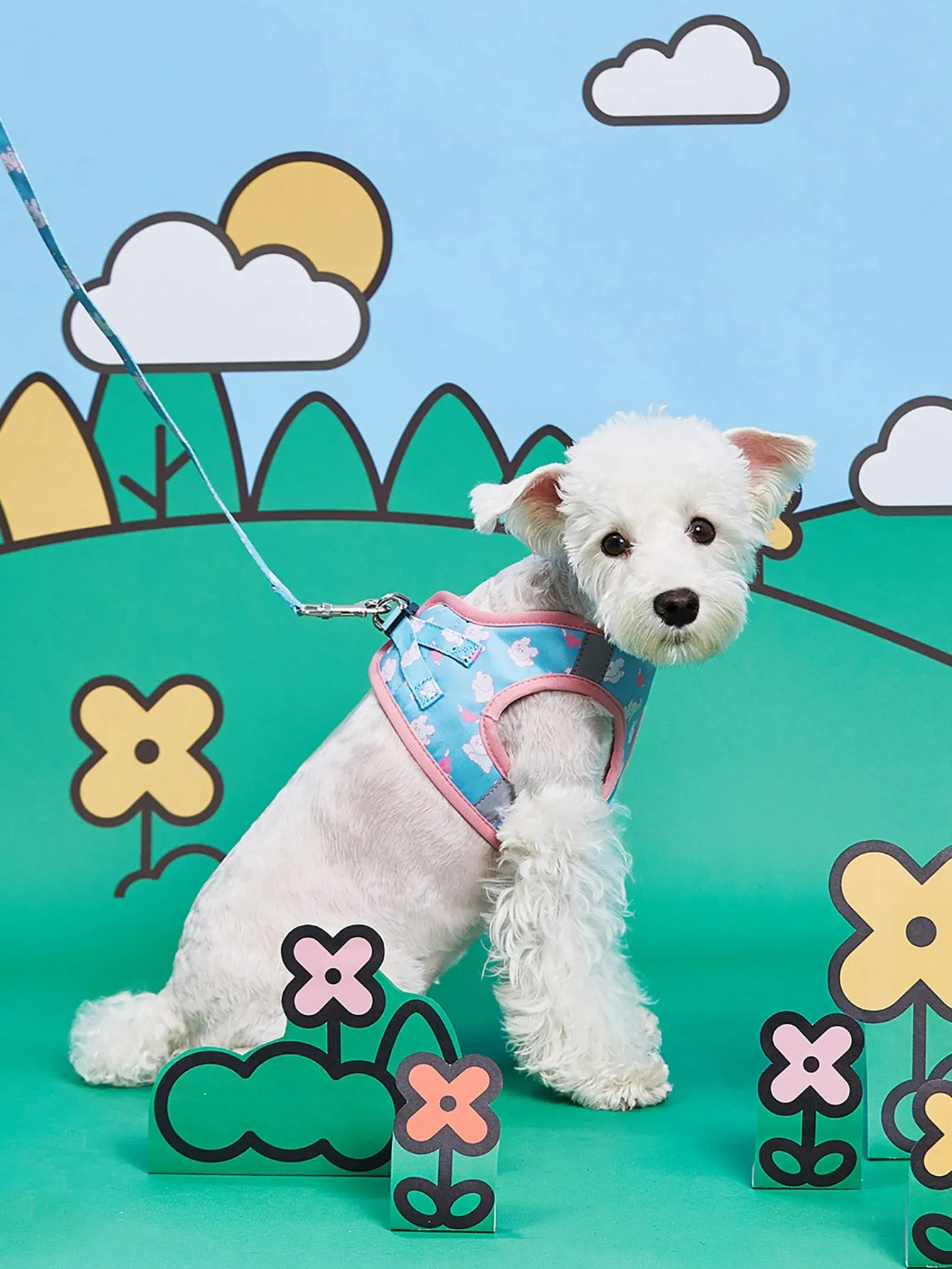 PETSIN 1pc Cartoon Graphic Pet Leash