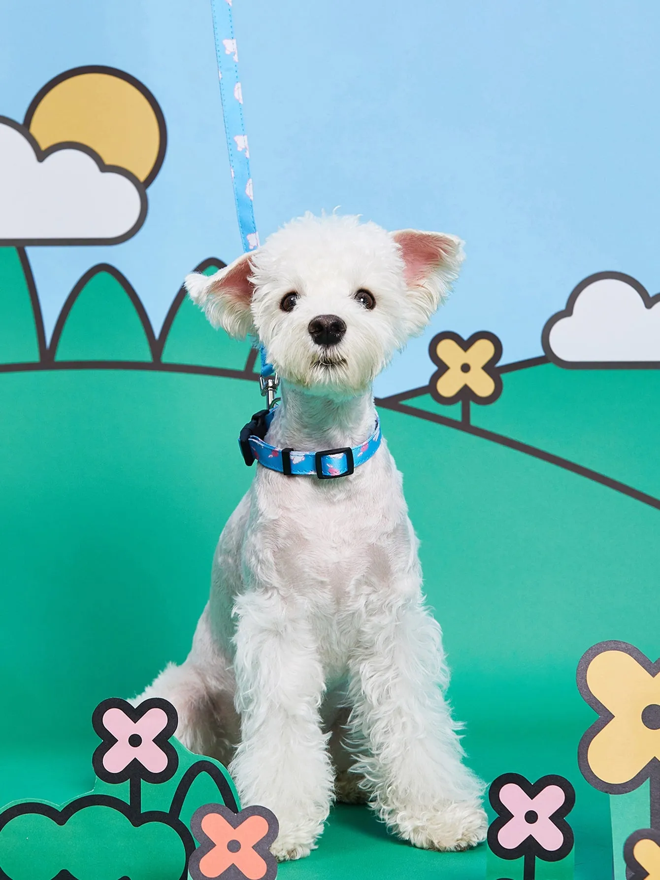 PETSIN 1pc Cartoon Graphic Pet Leash