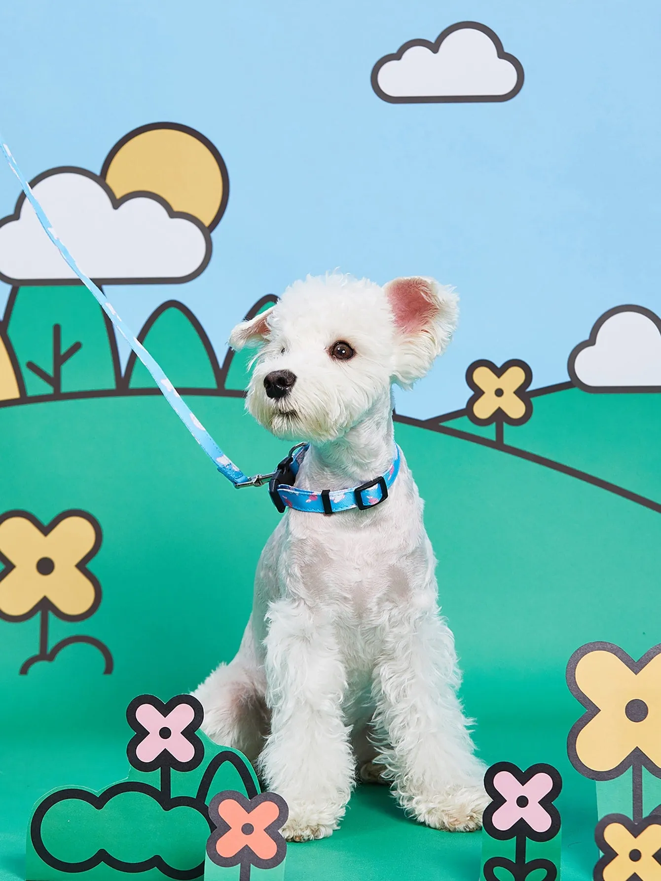 PETSIN 1pc Cartoon Graphic Pet Leash
