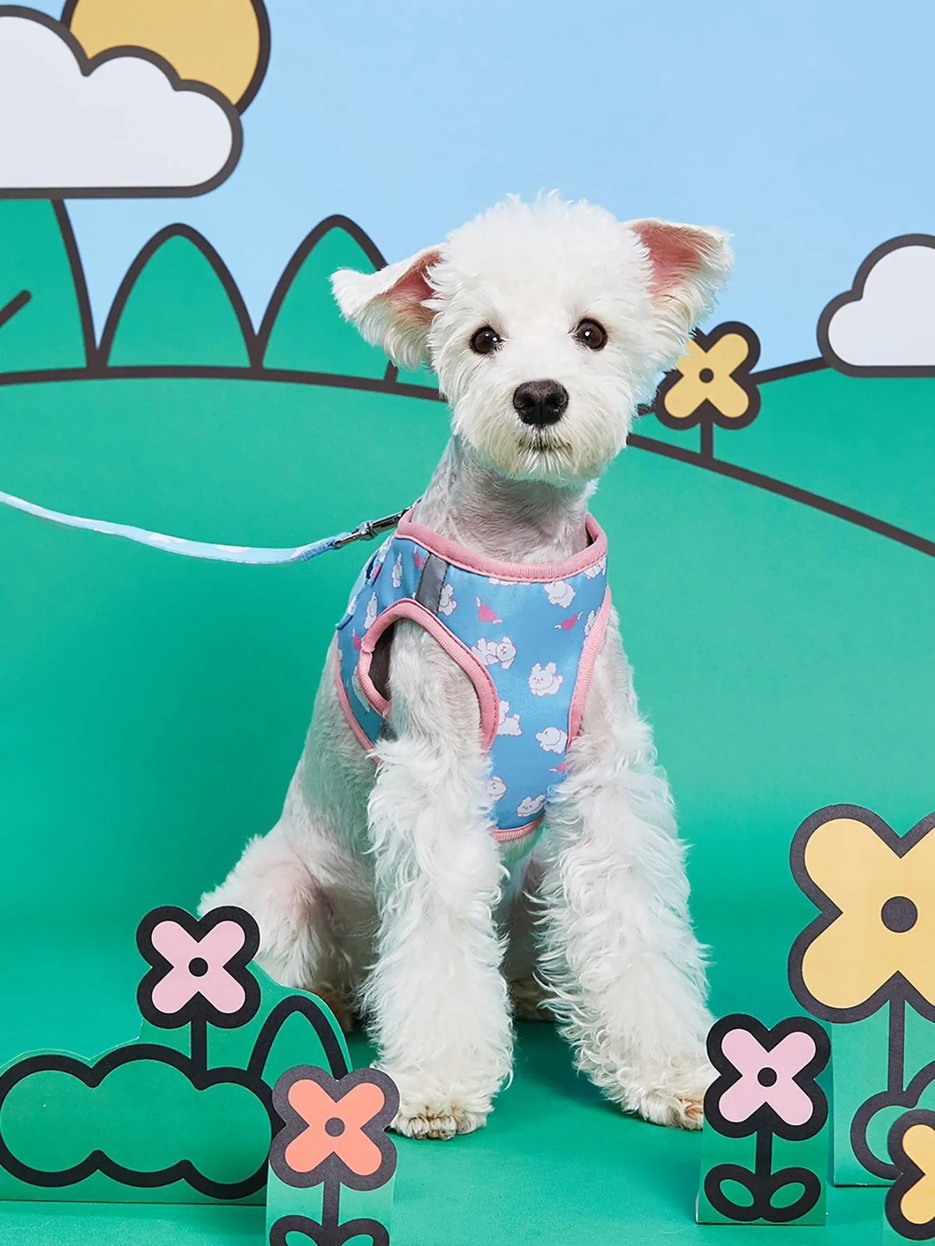 PETSIN 1pc Cartoon Graphic Pet Leash
