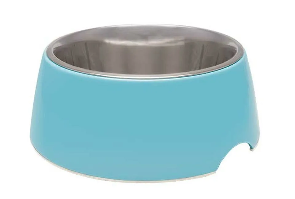 Retro Feeding Bowl for Dogs & Cats- stainless steel
